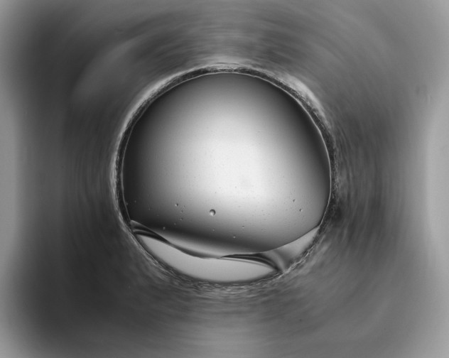 X0000094181183200711091137