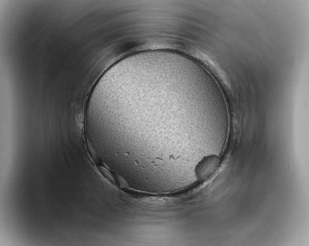 X0000094181185200711091137