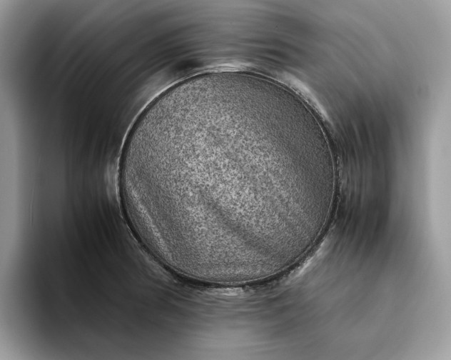 X0000094181186200711091137