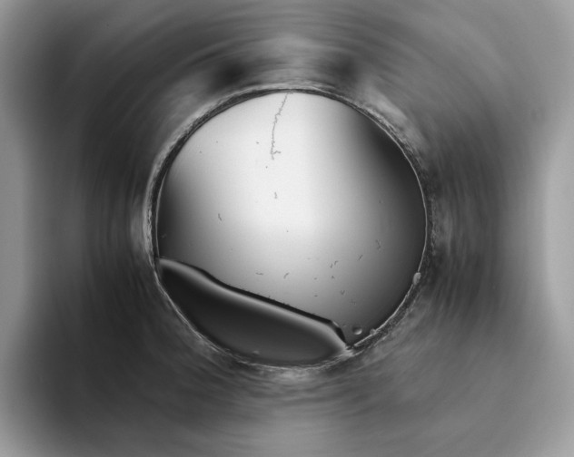 X0000094181188200711091137