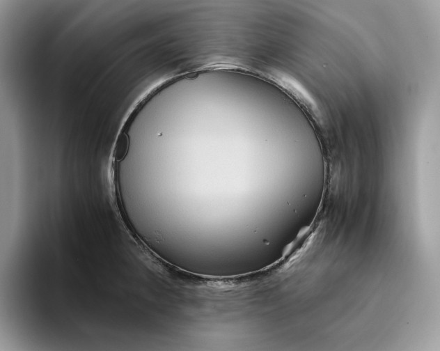 X0000094181190200711091137