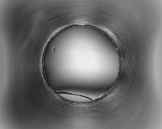 X0000094181191200711091137