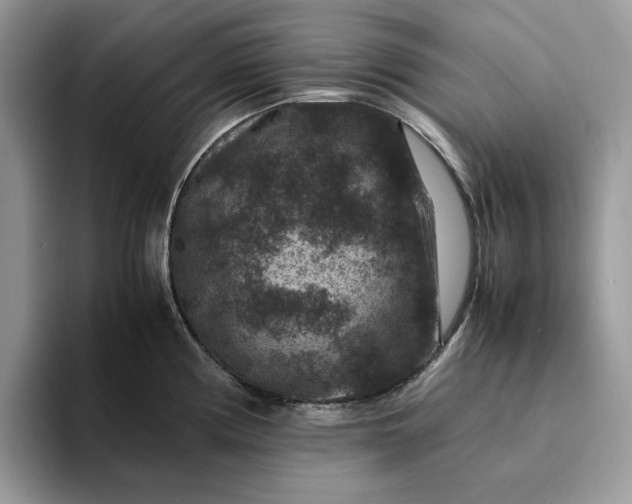 X0000094181194200711091137
