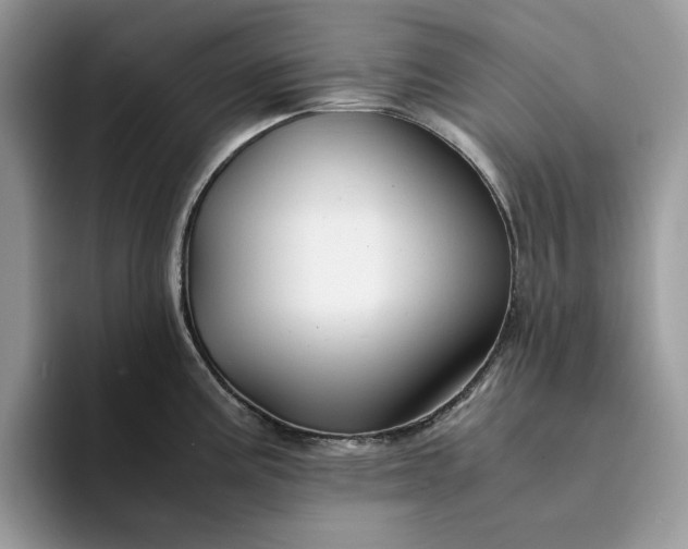 X0000094181195200711091137