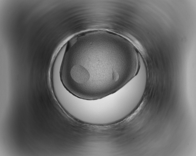 X0000094181196200711091137