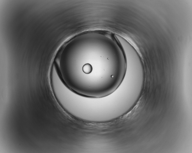 X0000094181197200711091137