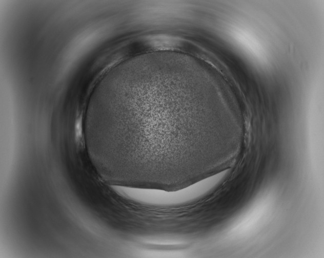 X0000094181198200711091137