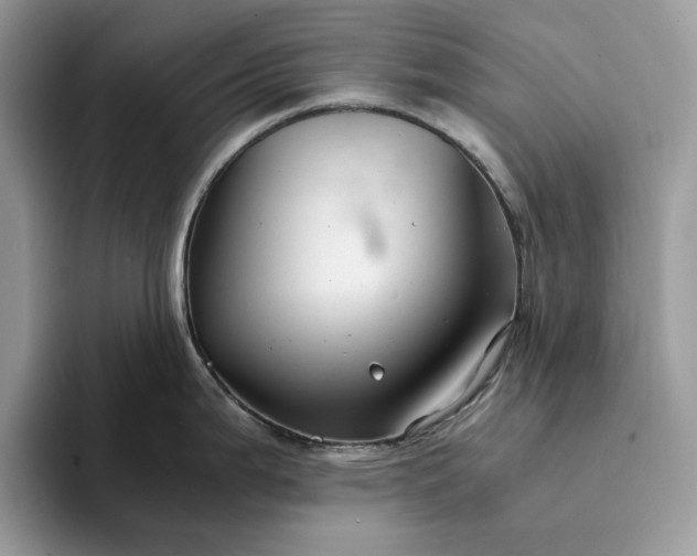 X0000094181199200711091137