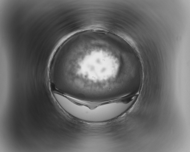 X0000094181200200711091137