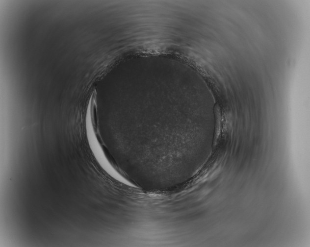 X0000094181202200711091136
