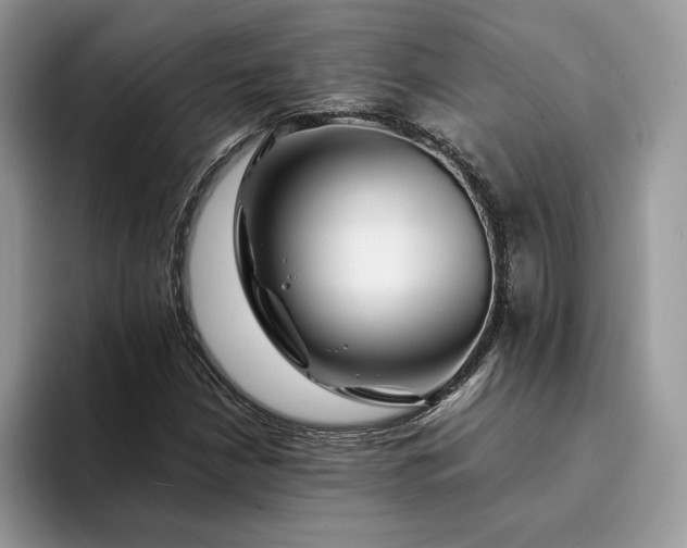 X0000094181210200711091136