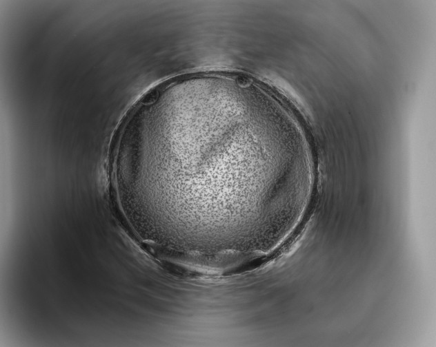 X0000094181212200711091136