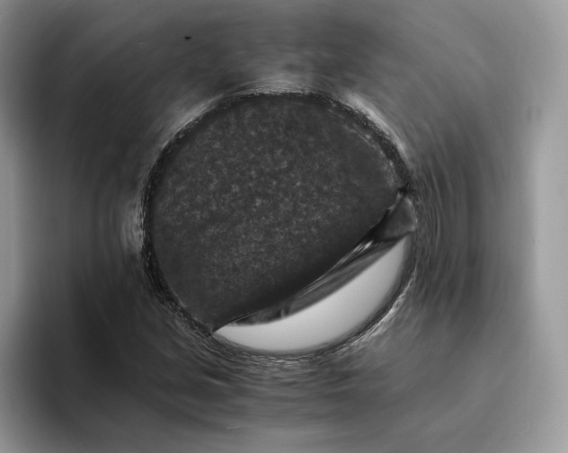 X0000094181213200711091136