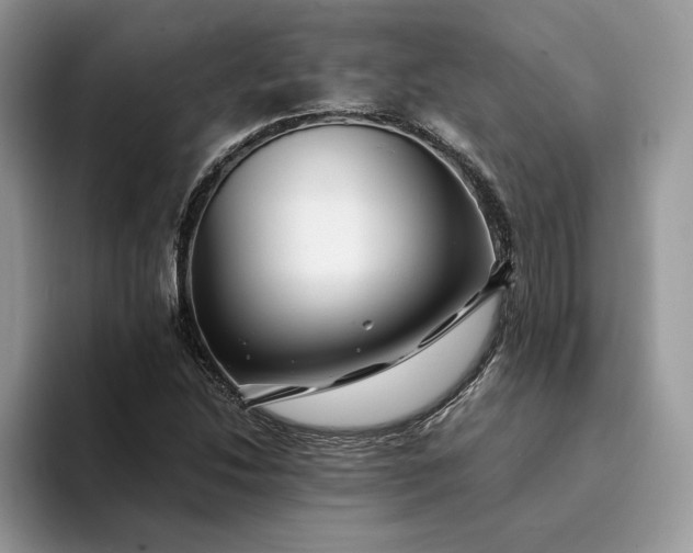X0000094181214200711091136