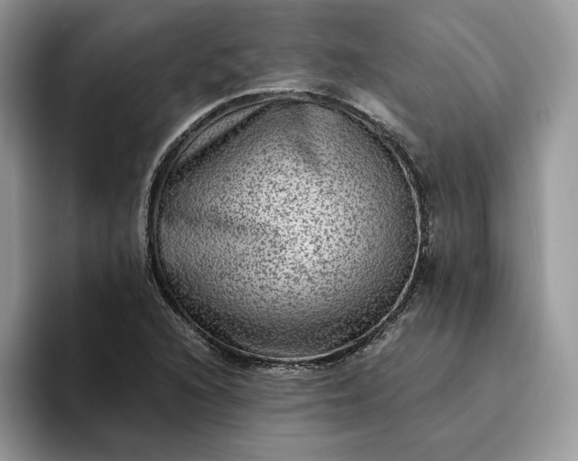 X0000094181216200711091136