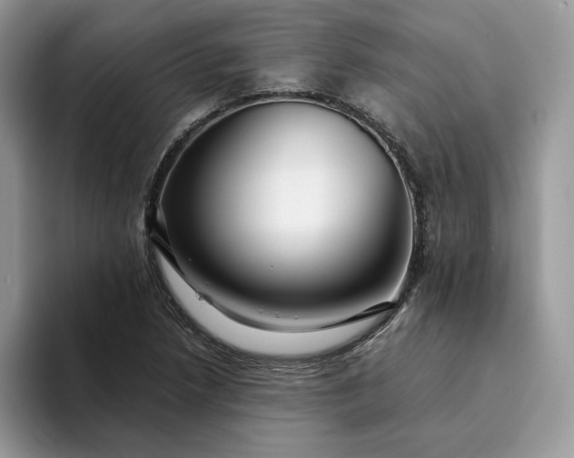 X0000094181218200711091136