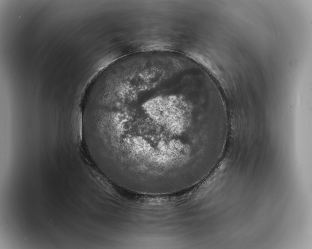 X0000094181219200711091136