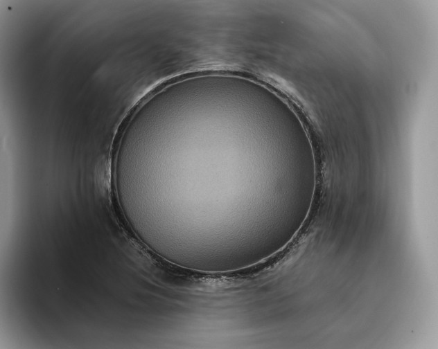 X0000094181220200711091136