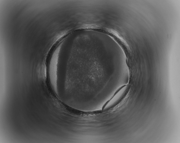 X0000094181221200711091136
