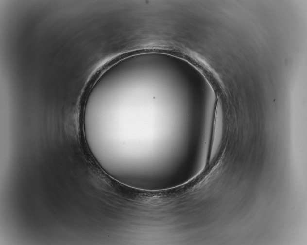 X0000094181222200711091136