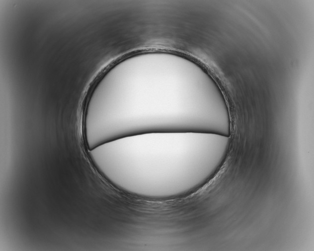 X0000094181224200711091136