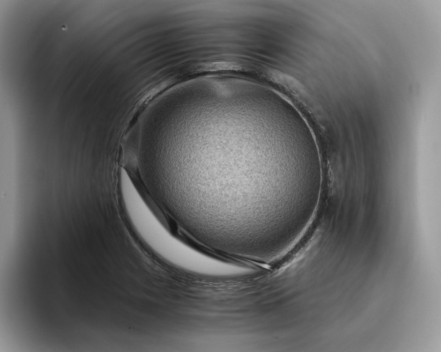 X0000094181225200711091136