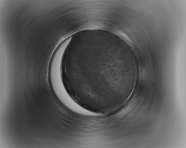 X0000094181226200711091136