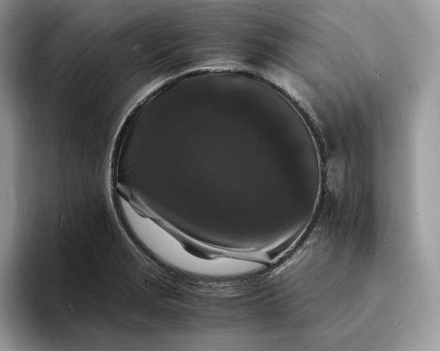 X0000094181229200711091136