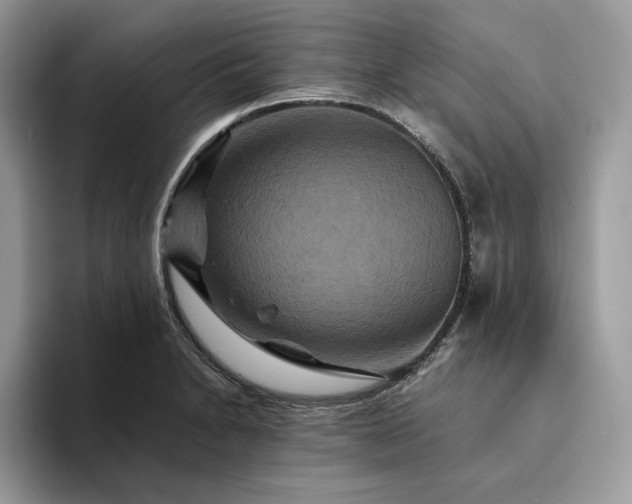 X0000094181230200711091136