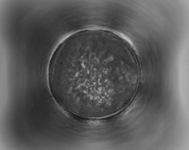 X0000094181231200711091136