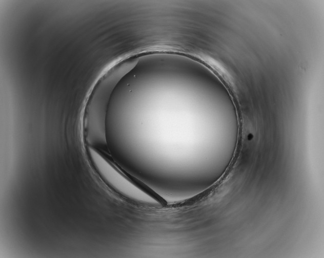 X0000094181238200711091136