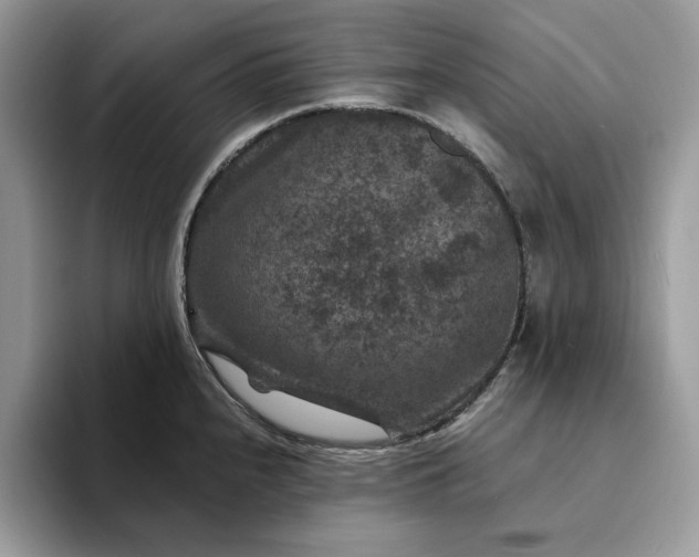 X0000094181240200711091136