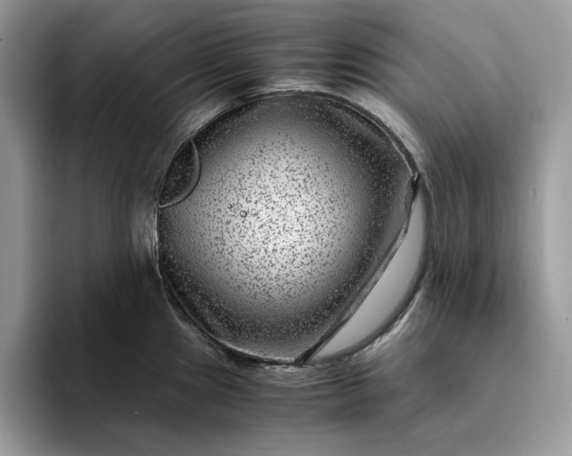 X0000094181241200711091136