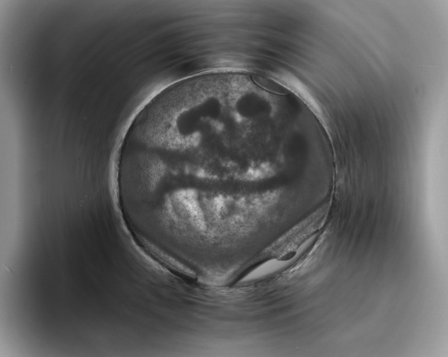 X0000094181243200711091136