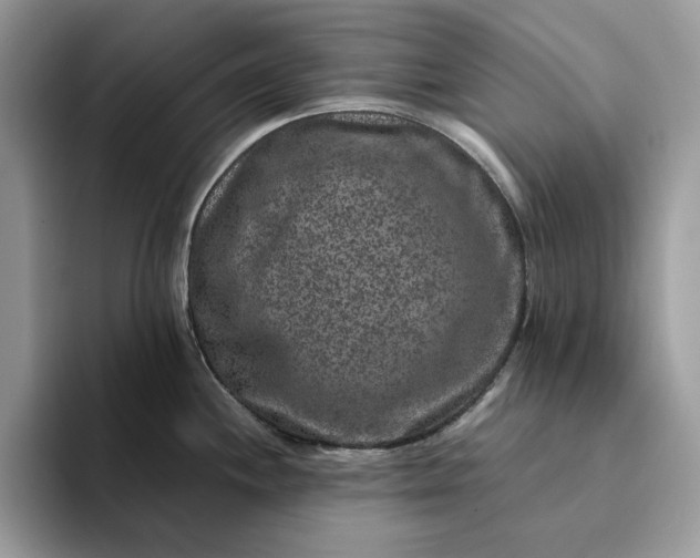 X0000094181244200711091136