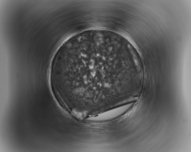 X0000094181245200711091137