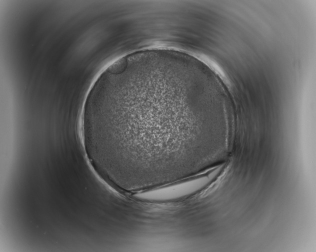 X0000094181247200711091137