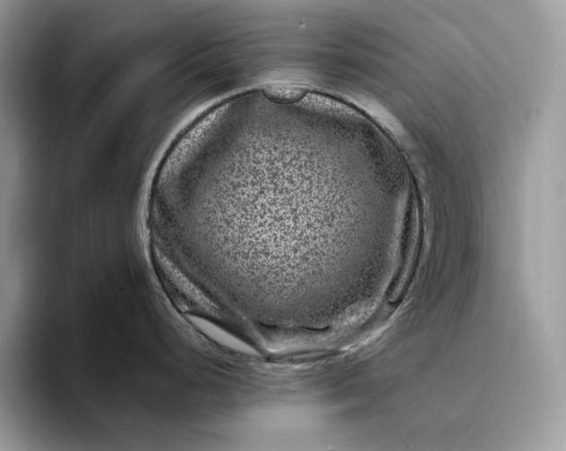 X0000094181248200711091137