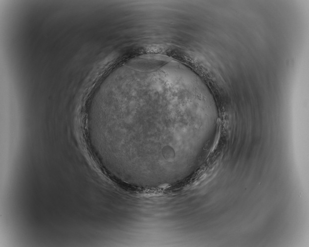 X0000094181249200711091136