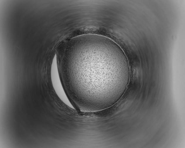 X0000094181250200711091136