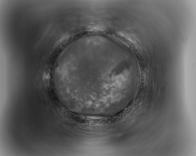 X0000094181254200711091136