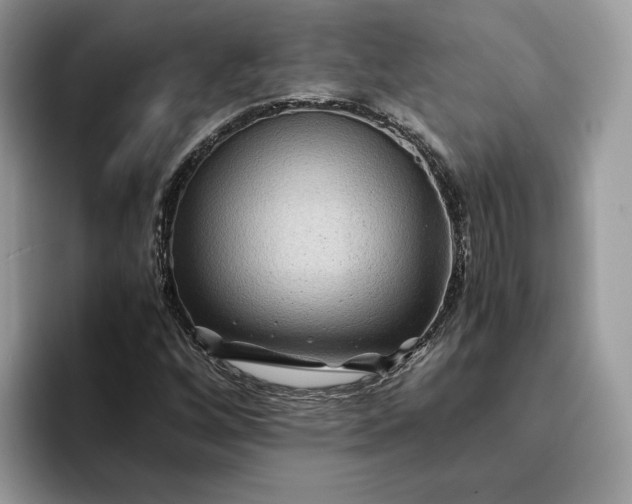 X0000094181256200711091136