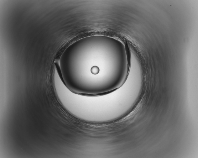 X0000094181257200711091136
