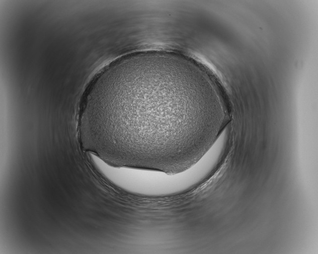 X0000094181259200711091136