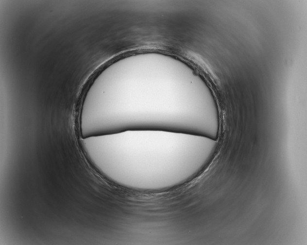 X0000094181260200711091136