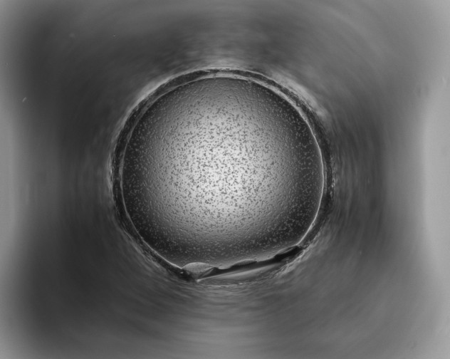 X0000094181264200711091136