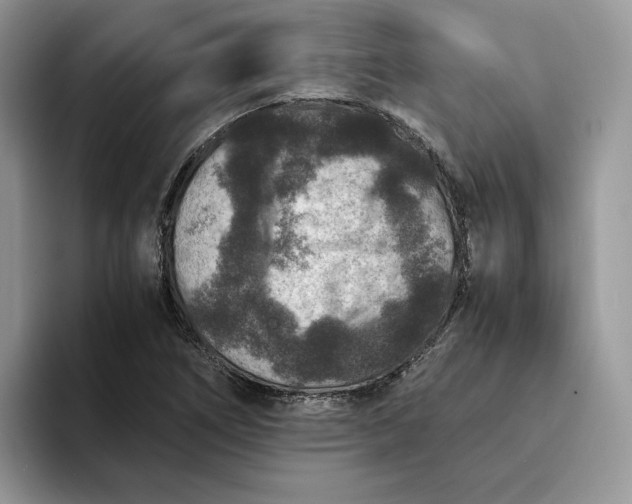 X0000094181266200711091136