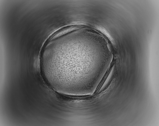 X0000094181268200711091136