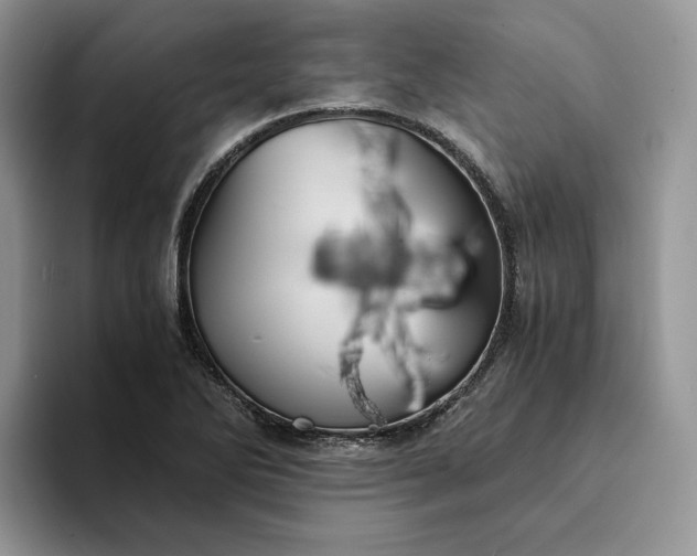 X0000094181270200711091136