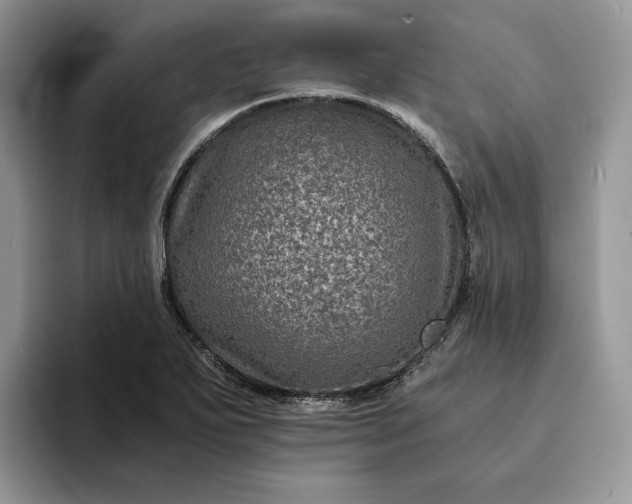 X0000094181271200711091136